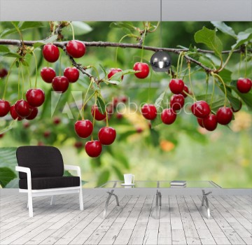 Bild på Cherry on a branch in the garden